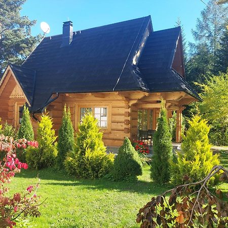 Bialy Puch Villa Zakopane Exterior photo